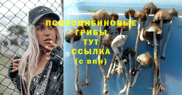 МДПВ Дмитровск
